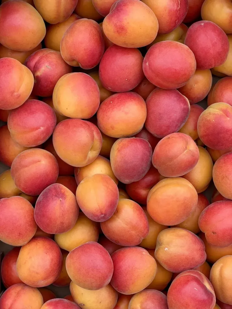 les-delices-fruits-9