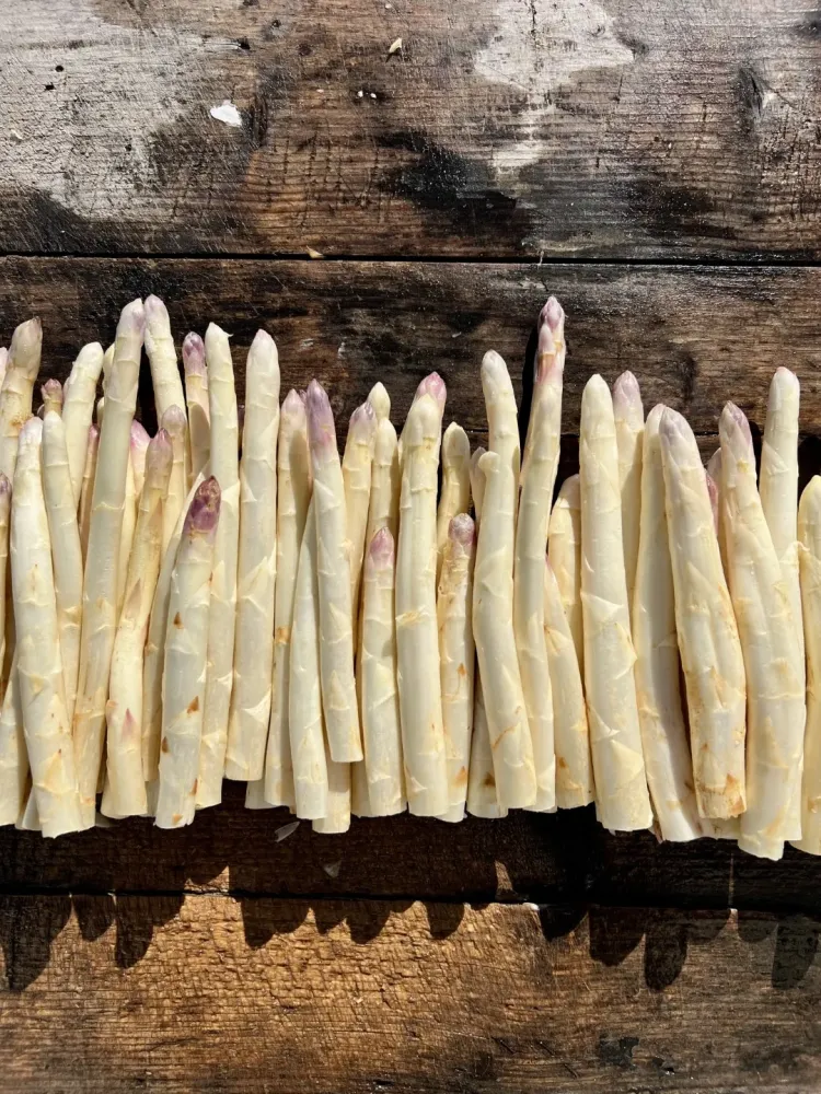Asperges près de Tain-l'Hermitage