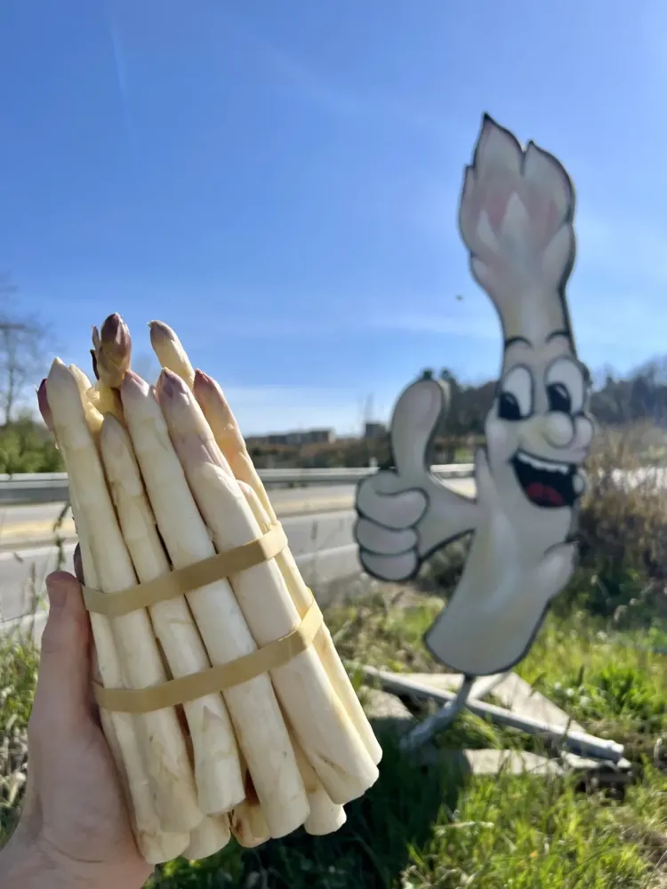 Produits bio près de Tain-l'Hermitage