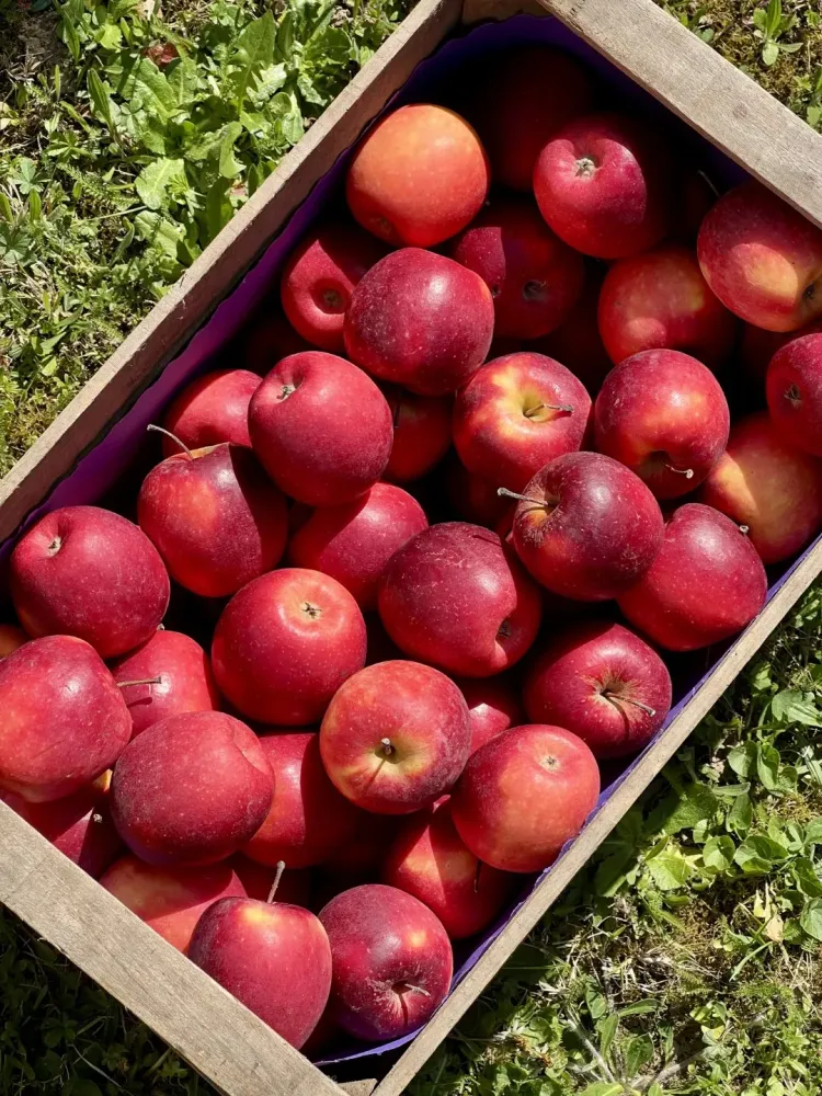 Vente direct producteur près de Tain-l'Hermitage